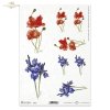 kwiaty polne, łąka, maki, irysy, artysta współczesny Agnieszka Stachurska, field flowers, meadow, poppies, irises, contemporary artist, Feldblumen, Wiese, Mohnblumen, Schwertlilien, zeitgenössische Künstlerin, flores de campo, prado